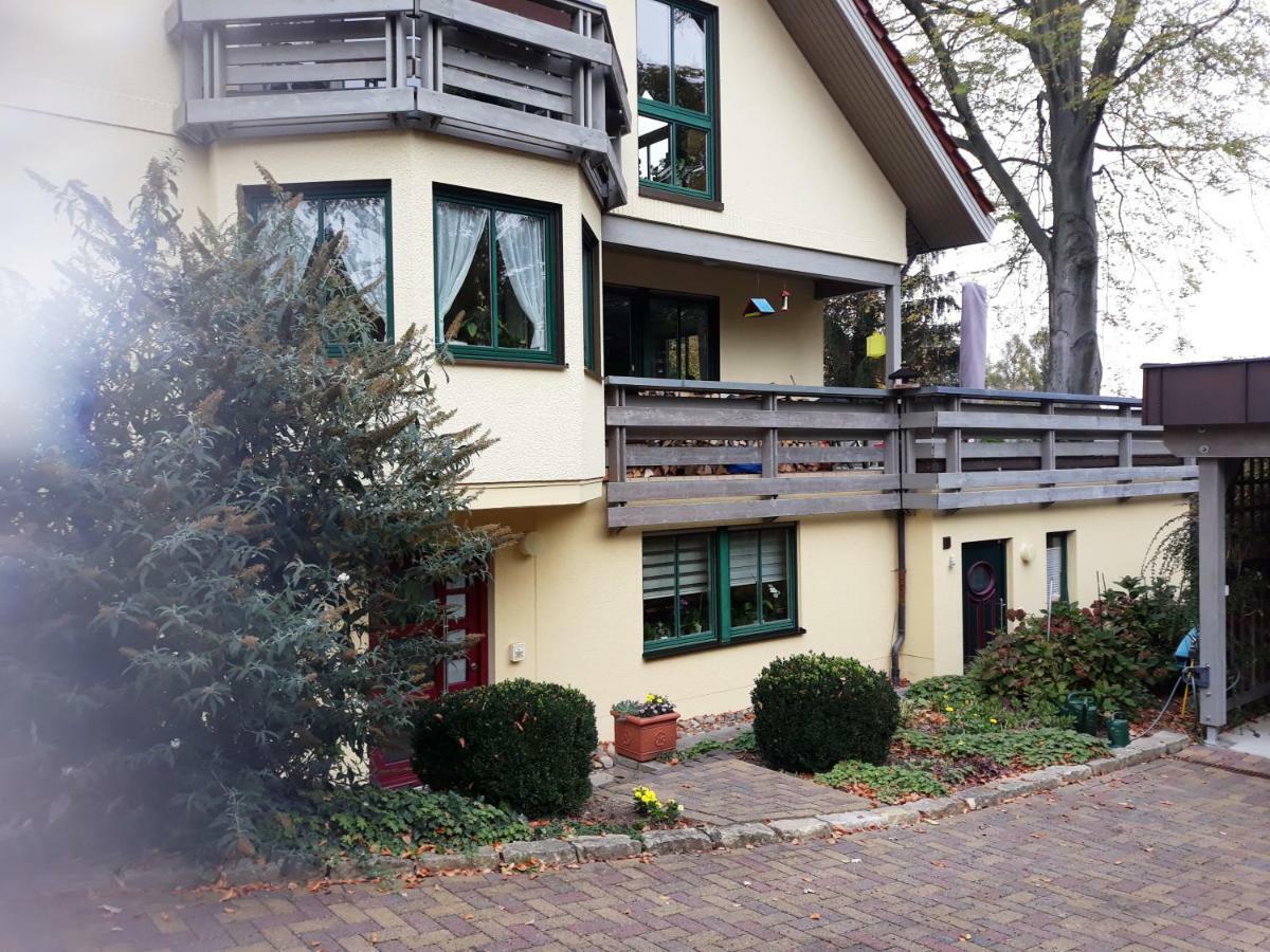 Ferienwohnung Oberloschwitz Dresden Exterior photo